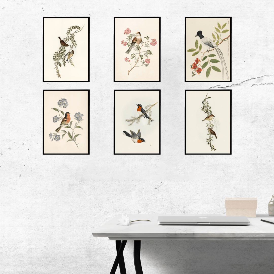 Vibrant Bird & Floral Wall Art Set of 6 - Memories InsiteBIRD & FLORAL DESIGN WALL FRAME - BLACK SET OF 6